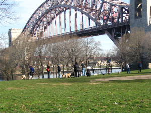 Physical Therapy in Astoria